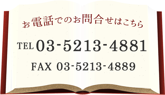 03-5213-4881